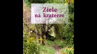 Ziele na kraterze - Melchior Wańkowicz | 1/2 Audiobook PL