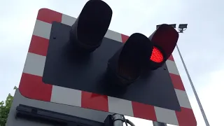 Steventon Causeway Level Crossing (Oxfordshire) 12/05/2018