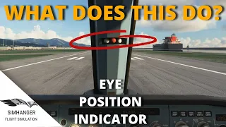 Three balls in your cockpit! | What is it and why should you use it? | Eye Position Indicator