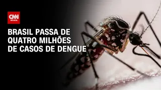 Brasil passa de quatro milhões de casos de dengue | CNN 360º