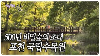 500여 년간 지켜온 비밀의 숲, '포천 국립수목원' [영상앨범 산] KBS 190602 방송