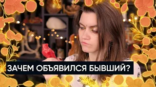 Зачем объявился бывший? 💔 | Расклад Таро | Бывший мужчина