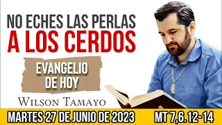 Evangelio de hoy MARTES 27 de JUNIO (Mt 7,8.12-14) | Wilson Tamayo | Tres Mensajes