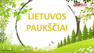 ✅ Lietuvos paukščiai | SmartkinderTV | Filmukai vaikams lietuviškai