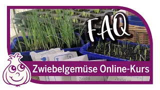 Zwiebeln anbauen – Gemüseanbau Online Kurs Teil 2