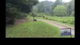 Bigfoot in rural North Carolina on 8/6/15