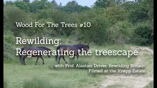 Rewilding: Regenerating the Treescape, part 10 of Wood for the Trees