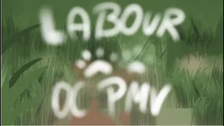 || Labour || OC PMV/CrowFlight ||