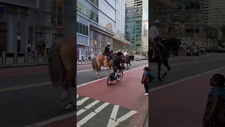 Mounted Police stopping so a little girl could get a picture in Times Square! #gottalovenewyork