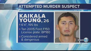 Maui police searching for suspect involved in apparent stabbing