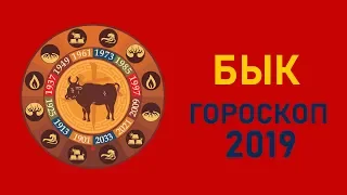 Бык в год Свиньи. Восточный гороскоп на 2019 год