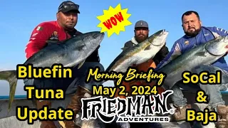 Wide open bluefin tuna fishing, where and what’s working best, Coronado Island yellowtail, rockfish