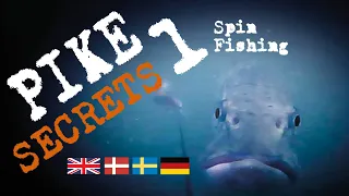 Pike Secrets 1 Spin fishing