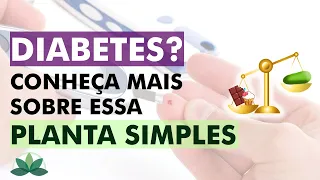 Diabetes? Veja o que as pesquisas dizem sobre esta PLANTA!