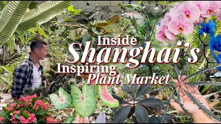 Plant Shopping in China! UNIQUE Houseplants - Interesting Ways to Grow and Display Plants 🌿