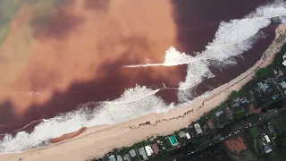 WE SHOULD NOT HAVE SURFED IN THIS WATER!