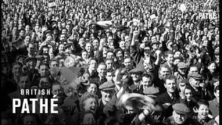 Scottish Cup Final (1951)