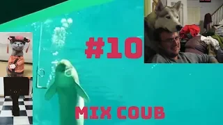 MIX COUB #10 | Best Cube | Funny Moment |  ЛУЧШИЕ ПРИКОЛЫ