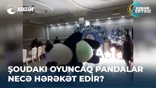 Şoudakı Oyuncaq Pandalar Necə Hərəkət Edir?