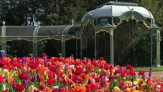 Spring | Waddesdon's gardens in bloom