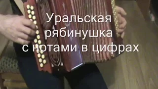 Уральская рябинушка с нотами в цифрах