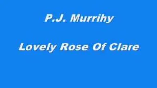 P.J. Murrihy - Lovely Rose Of Clare