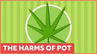 The Harms of Marijuana