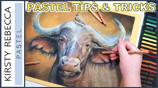 BIGGEST TIPS for REALISTIC pastel drawings! // STEP by STEP tutorial!