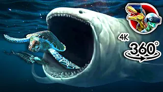 360° VR BLOOP Eats Giant Turtle and Squid | 4K