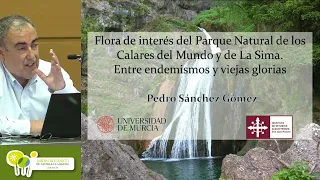 Flora de interés del Parque Natural de los Calares del Mundo y de la Sima. Dr. Pedro Sánchez Gómez.