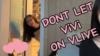 don’t let vivi on vlive