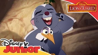 The Lion Guard - Stand Up, Speak Out Song | Official Disney Junior Africa