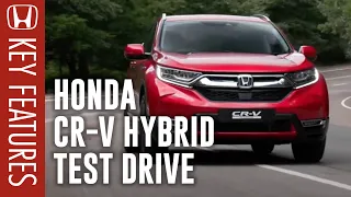 Official Honda CR-V Hybrid TEST DRIVE