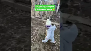 Раздолье для внучки 😍🐥