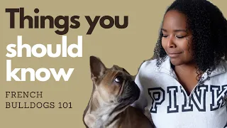 BEFORE YOU OWN A FRENCH BULLDOG | WHAT YOU NEED TO KNOW