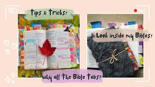 ALL ABOUT MY BIBLES ♡ How I study My Bible!! + Q&A ✨
