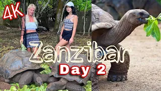 ЗАНЗИБАР, Prison Island: попали в ШТОРМ! Остров гигантских черепах || Giant turtles of ZANZIBAR !