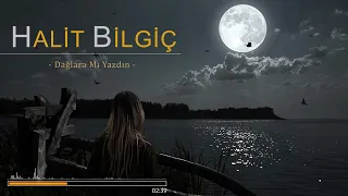 Halit Bilgiç - Dağlara Mı Yazdın / 2024