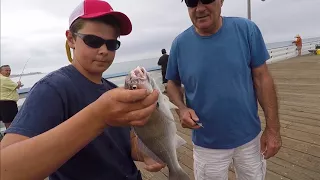 How to Fish From a Pier