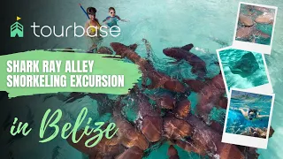 Belize Tourbase - Shark Ray Alley Belize Snorkeling Excursion