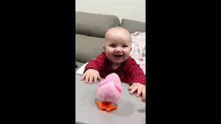 babies||cute baby||cats||funny videos||#baby#cute#cats