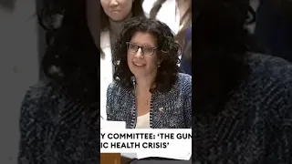 Sen. Kennedy GRILLS Leftist For Saying GANG MEMBERS Shouldn't Be ARRESTED For Having Illegal Guns