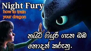 Night Fury sinhala explain  | how to train your dragon