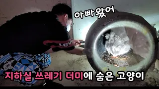 고양이 '야미'를 찾아라[고양이탐정]How to find a lost cat