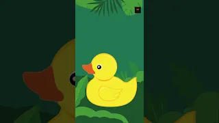 Ducks Spelling and Description for Kids #kidsvocabularywords #vocabulary #kidsvideo #kidslearn