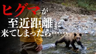 実録！ヒグマが至近距離に……その時どうする？