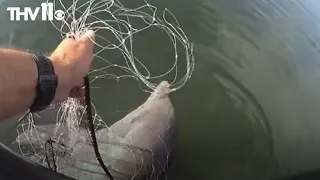 Officer rescues dolphin caught in fishing net