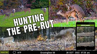 Hunting the Pre-Rut