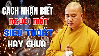 Cách Nhận Biết "NGƯỜI MẤT ĐÃ SIÊU THOÁT HAY CHƯA" - 99% Phật Tử Không Biết Điều Này | Thầy Pháp Hòa