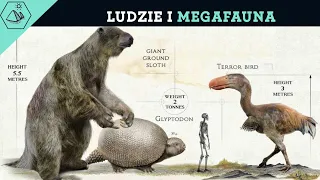 MEGAFAUNA: DLACZEGO WYGINĘŁA?